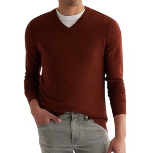 Express Men's Brown V-neck Merino Wool Sweater Classic Minimalist Knit MED, NWT